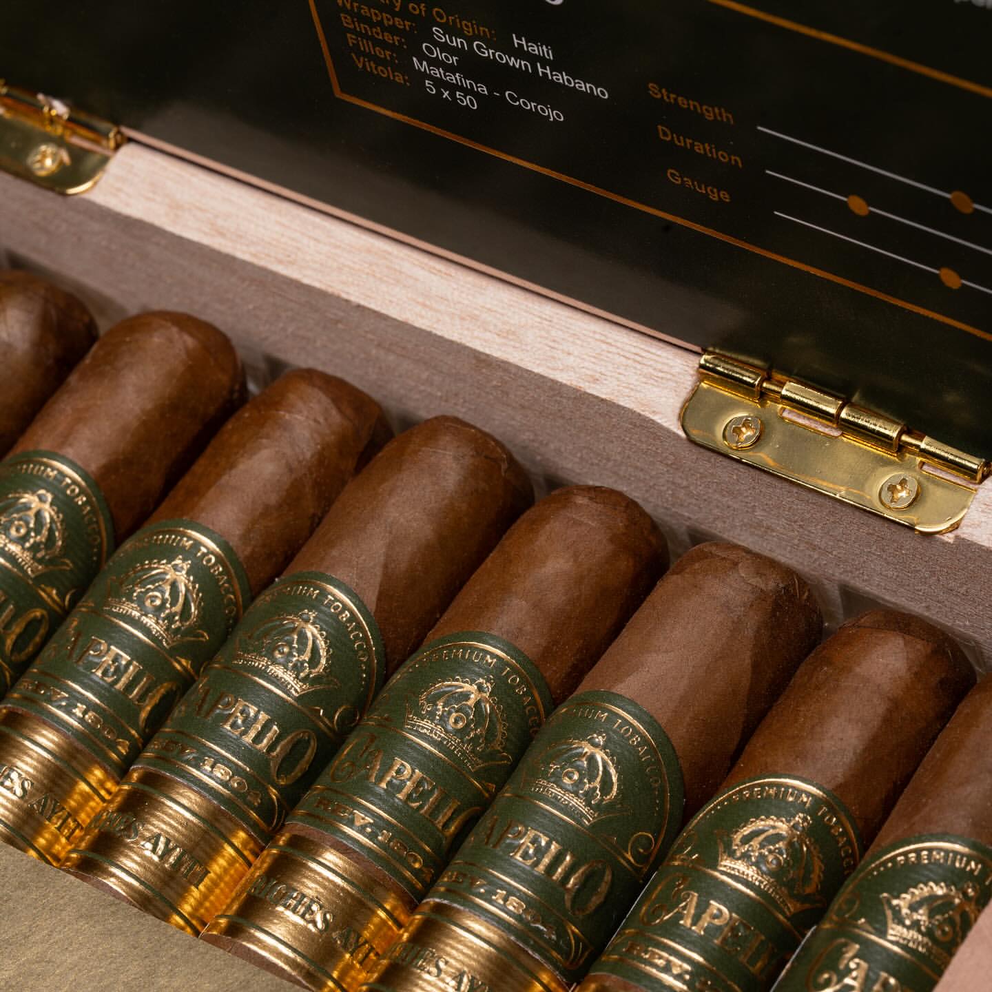 Capello Robusto